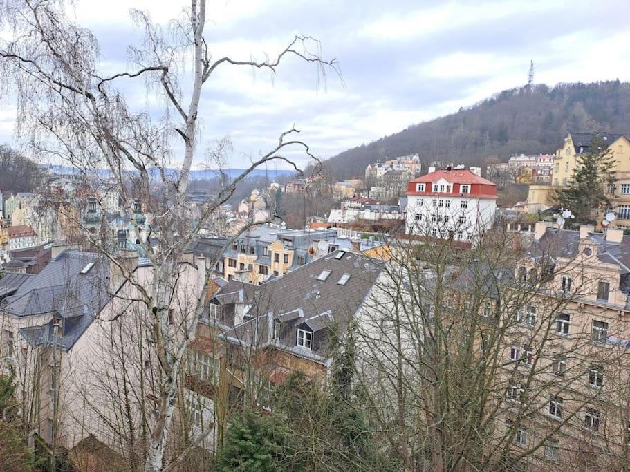 Vila Historica Karlovy Vary Extérieur photo